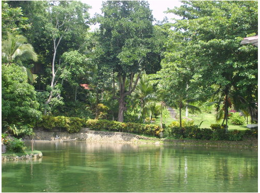 Jardín Botánico Guillermo Piñeres